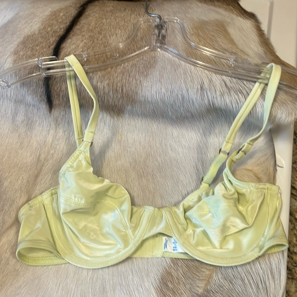 Warner’s bra